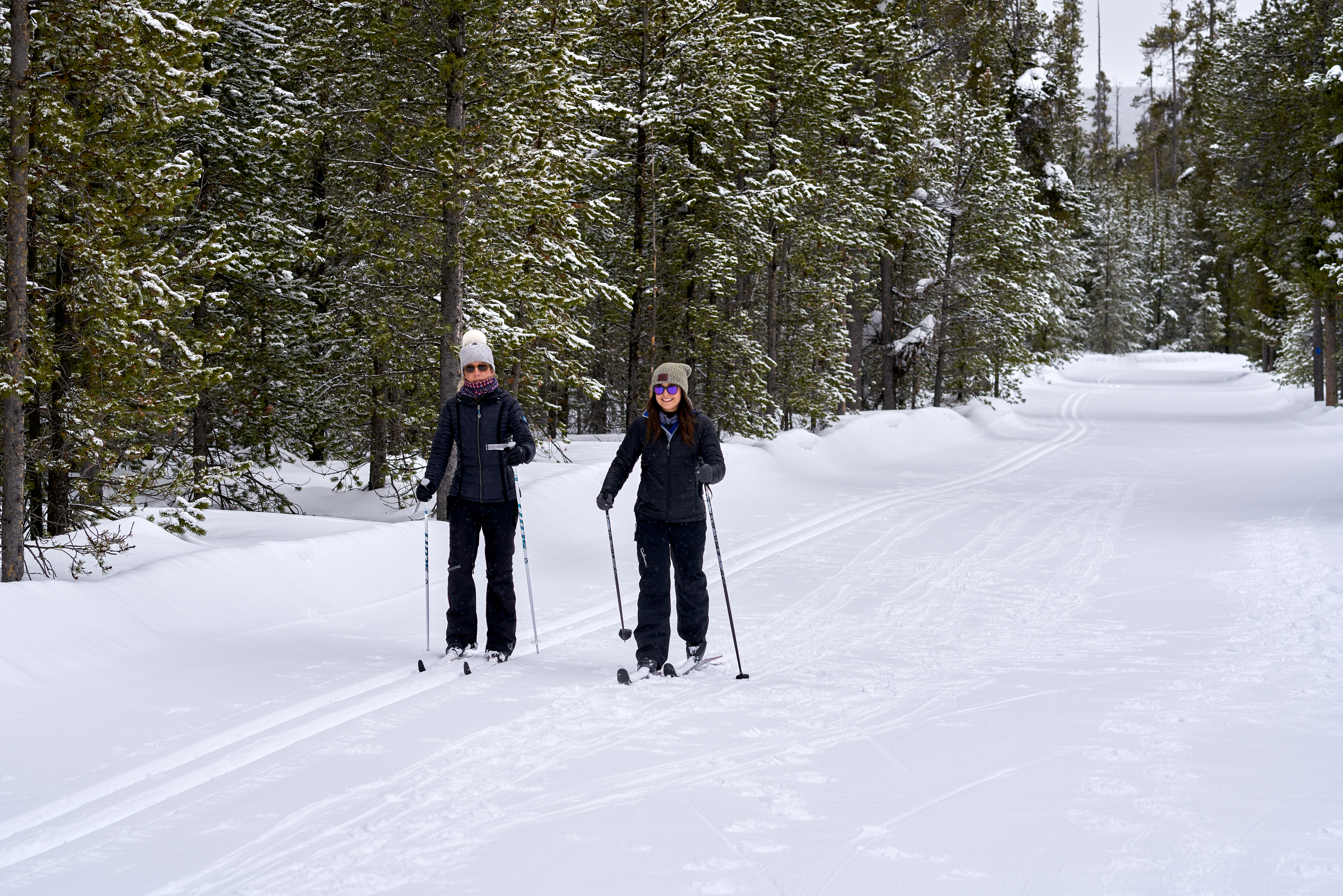 Two cross-country skiers near Yellowstone National Park