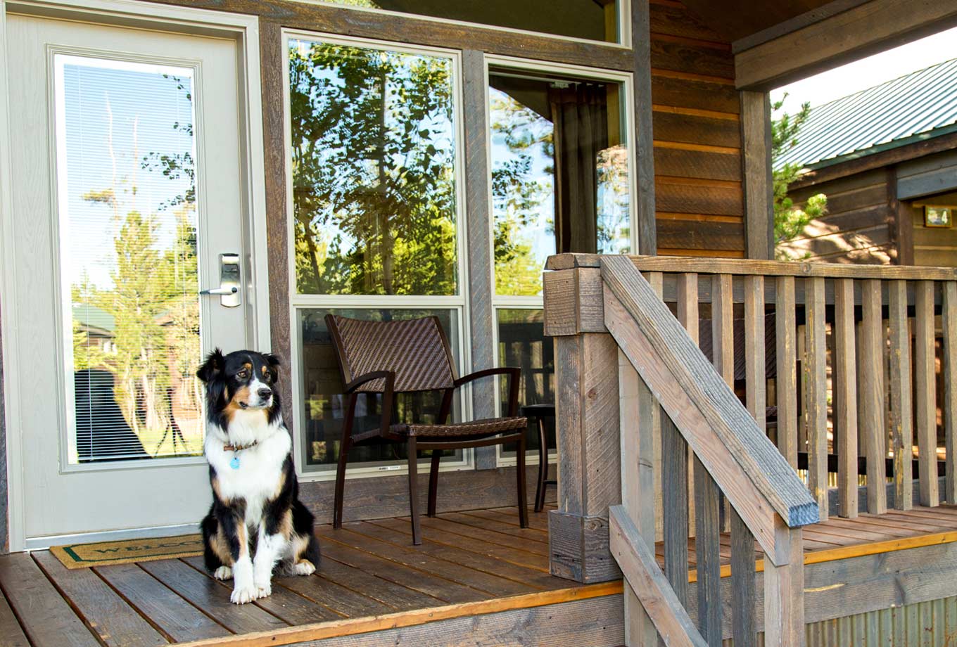 Pet-Friendly Hotels and Cabins at Yellowstone National Park